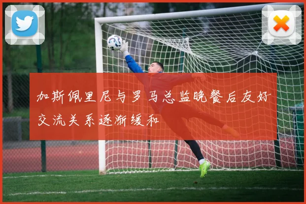 加斯佩里尼与罗马总监晚餐后友好交流关系逐渐缓和