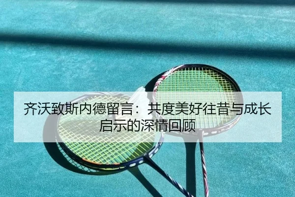 齐沃致斯内德留言：共度美好往昔与成长启示的深情回顾（xingkong）